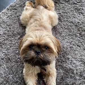 Meet your Posher, Jd